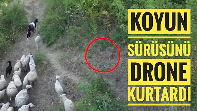 Abdipaşa'da ilginç olay