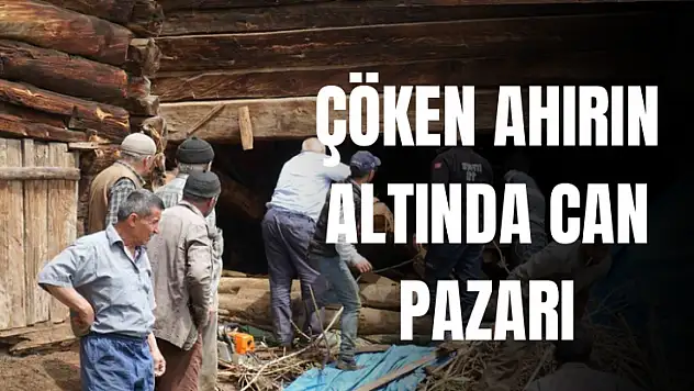 Acı olay