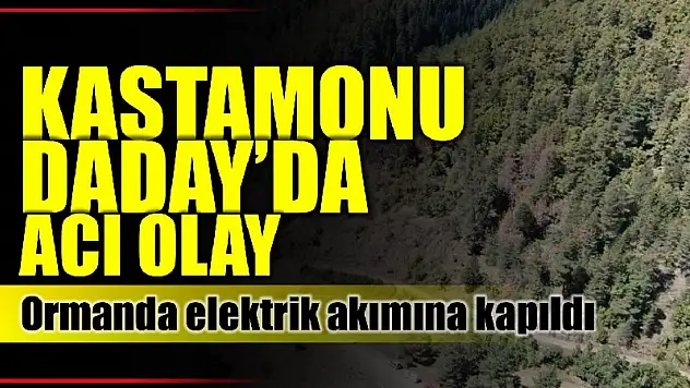 Ormanda çalışırken hayatını kaybetti