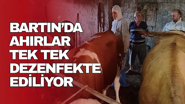 Ahırlar Tek Tek Dezenfekte Ediliyor