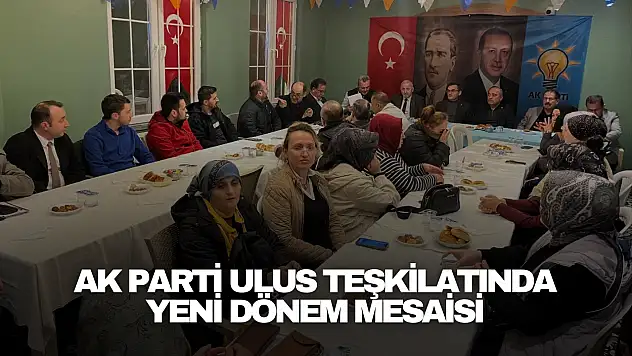 AK Parti Ulus Teşkilatında Yeni Dönem Mesaisi