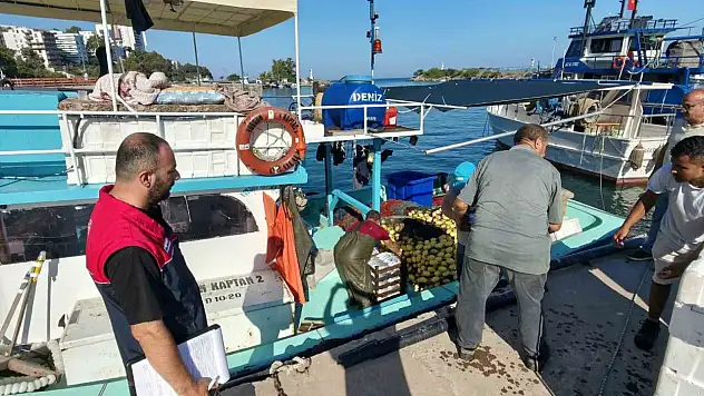Akçakoca'da balıkçılar sezona hızlı başladı