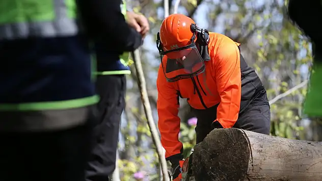Akçakoca'da ormanda eğitim tatbikatı yapıldı