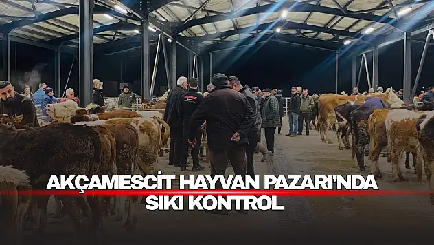 Akçamescit Hayvan Pazarı'nda Sıkı Kontrol