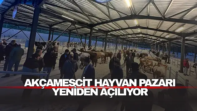 Akçamescit Hayvan Pazarı Yeniden Açılıyor