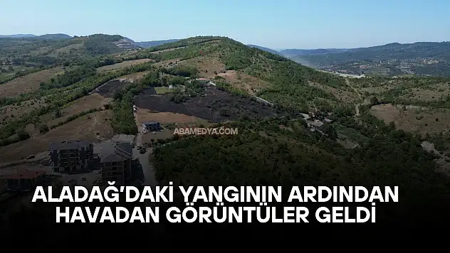 Aladağ'daki Yangının Ardından Havadan Görüntüler Geldi