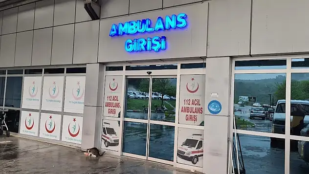Alaplı'da 'pat-pat' kazası: 2 yaralı