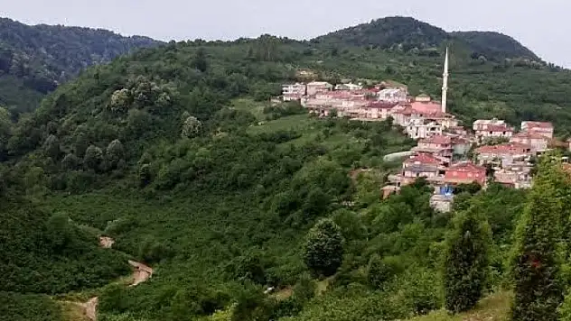 Alaplı'da 5 köyde seçim heyecanı yaşanacak