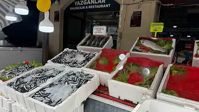 Alaplı'da balık tezgâhları boş kaldı