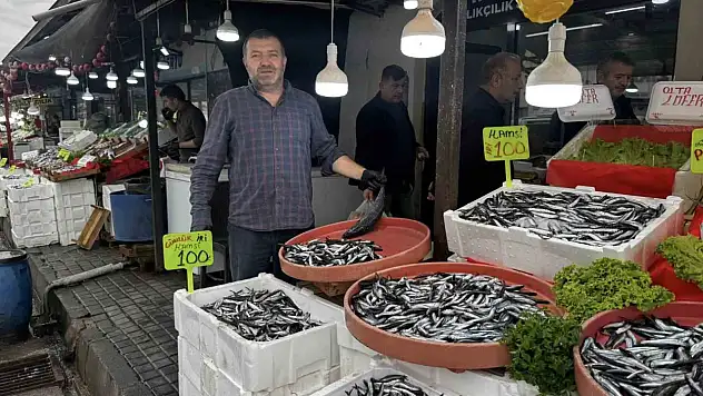 Alaplı'da hamsi 100 liradan alıcı buldu