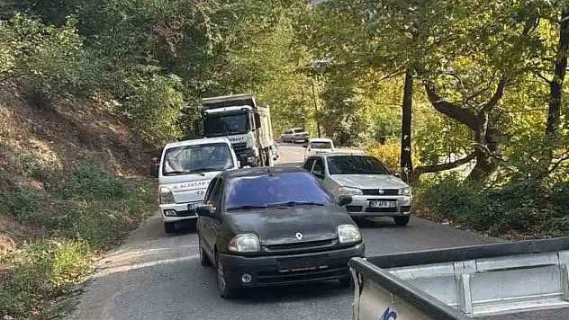 Alaplı'da yola devrilen ağaç, vatandaşlar tarafından kaldırıldı