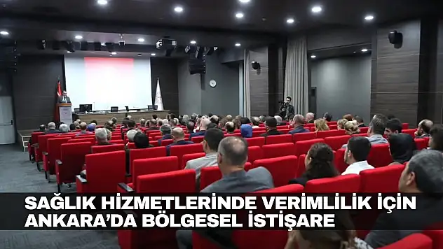 Ankara'da Bölgesel İstişare