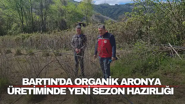 Aronya Üretiminde Yeni Sezon Hazırlığı