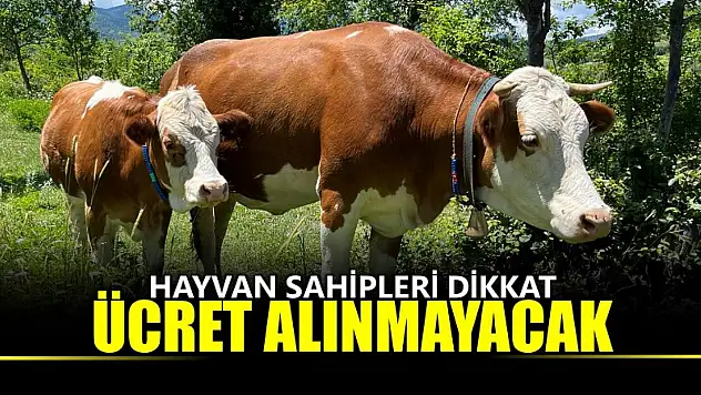 Artık o ücret alınmayacak