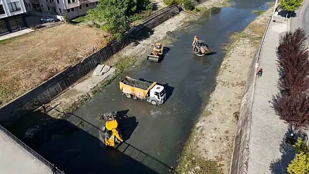 Asar deresi temizleniyor