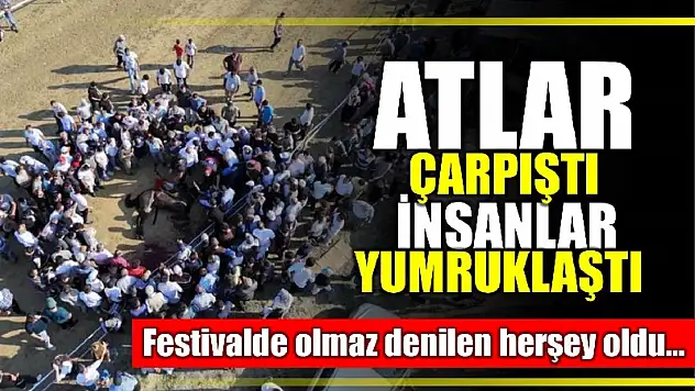 Atlar kafa kafaya çarpıştı