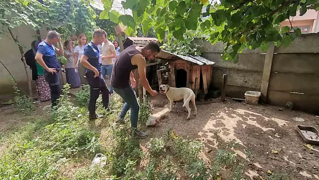 Bakılması yasak hayvanlara el konuldu