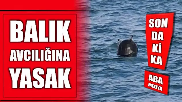 Karadeniz'de mayın paniği
