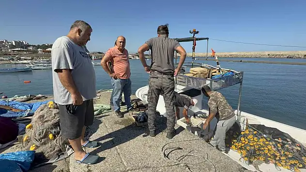 Balıkçılar sezonun ilk gününde 50 ton palamutla limana döndü