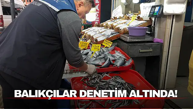 Balıkçılık Denetimleri Sıkılaştırıldı: Av Boyu ve Tür Kontrolü Yapılıyor