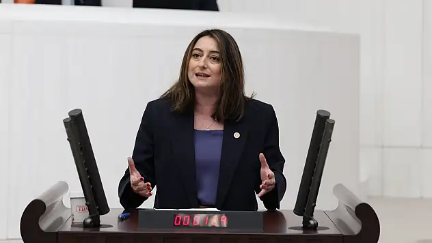 Bankoğlu, 'Çocuk işçiliğin merkezi MESEM'ler kapatılsın'