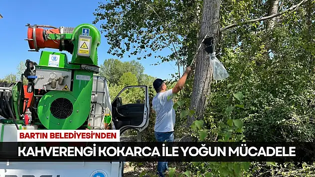 Kahverengi Kokarca ile Yoğun Mücadele