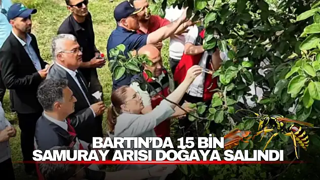 Bartın'da 15 Bin Samuray Arısı Doğaya Salındı