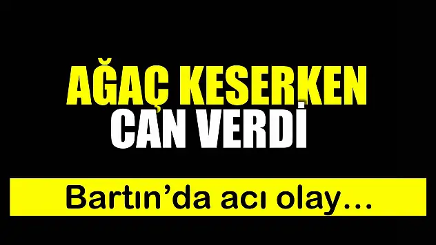 Bartın'da acı olay