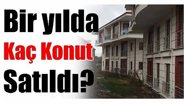 BARTIN'DA BİR YILDA KAÇ KONUT SATILDI?