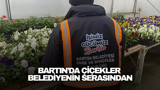 Bartın'da Çiçekler Belediyenin Serasından