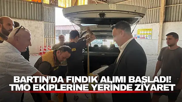Bartın'da Fındık Alımı Başladı!