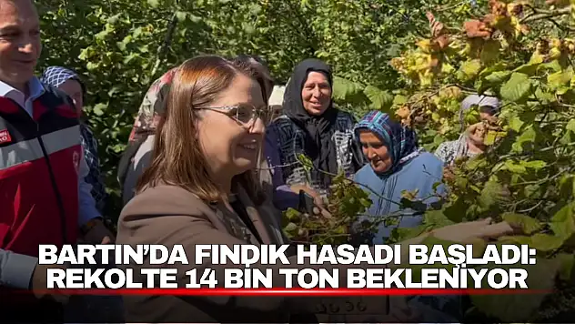 Bartın'da Fındık Hasadı Başladı: Rekolte 14 Bin Ton Bekleniyor