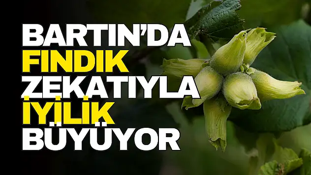 Bartın'da Fındık Zekatı