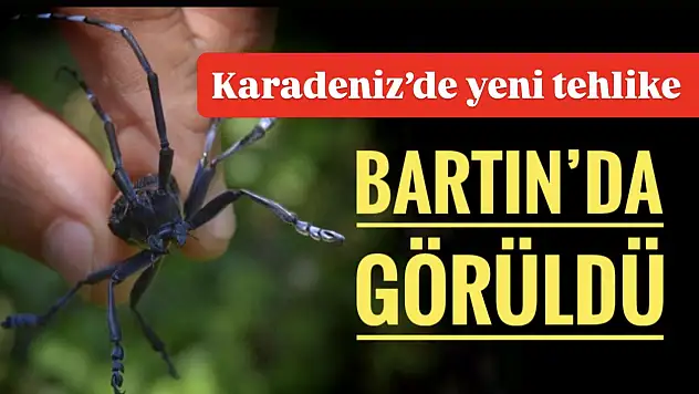 Bartın'da görüldü