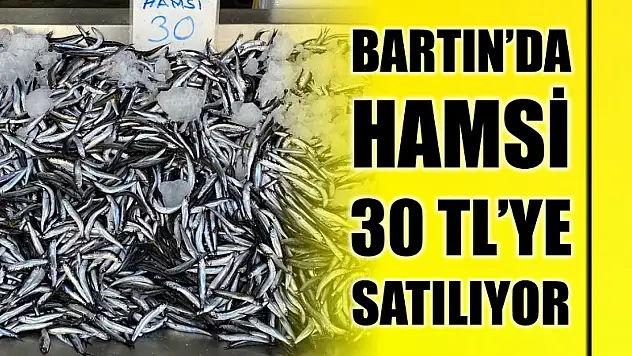 Bartın'da hamsi 30 TL