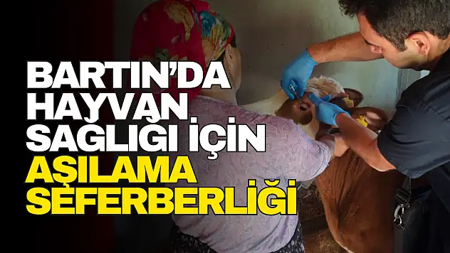 Bartın'da Hayvan Sağlığı İçin Aşılama Seferberliği
