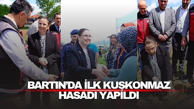 Bartın'da İlk Kuşkonmaz Hasadı Yapıldı