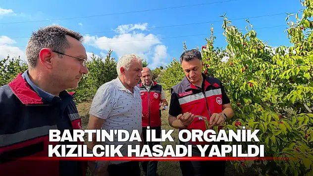 Bartın'da İlk Organik Kızılcık Hasadı Yapıldı