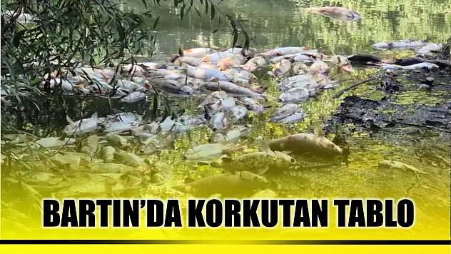Bartın'da korkutan manzara