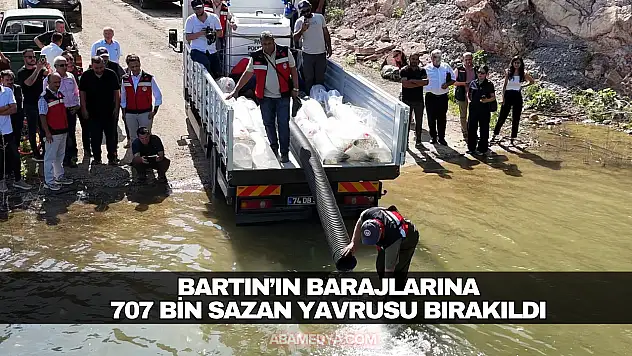Bartın'ın Barajlarına 707 Bin Sazan Yavrusu Bırakıldı.