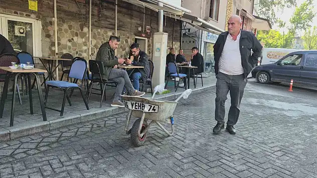 Bartın'ın maskotu hayatını kaybetti