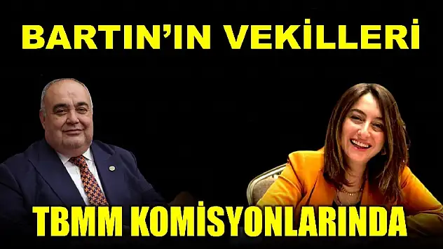 Bartın'ın Vekilleri TBMM komisyonlarında