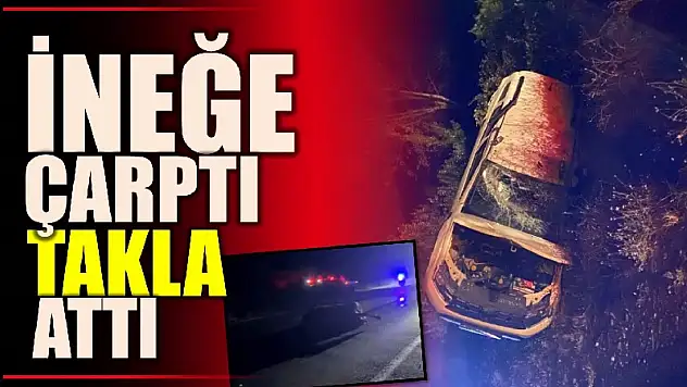 Bartın yolunda feci kaza