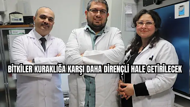 BARÜ'den bir proje daha