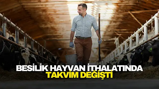 Başvurular Şubat'a Sarktı