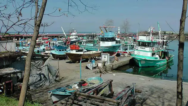 Batı Karadeniz'de balıkçılar sezonu erken kapattı