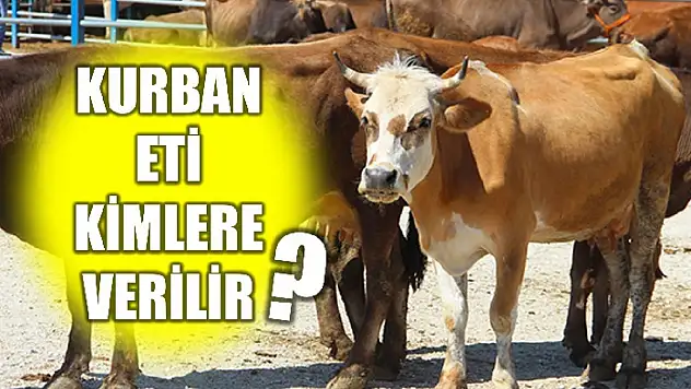 Bayram yaklaştı, araştırılmaya başlandı