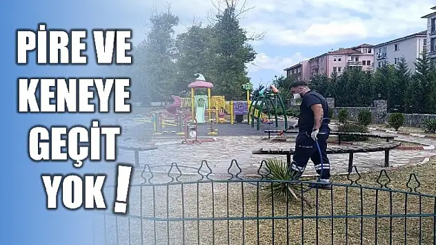 Belediyeden ilaçlama çalışması