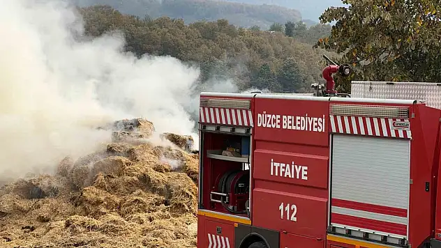 Besi çiftliğinde çıkan yangın güçlükle söndürüldü