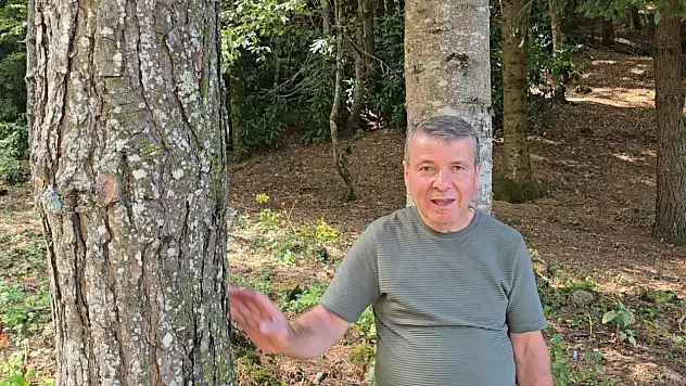 Bin 200 kilometre uzaktan gelip diktiği fidanlar orman oldu
